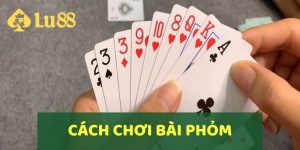 Hướng Dẫn Cách Chơi Bài Phỏm Chi Tiết & Mẹo Chơi Thắng Lớn